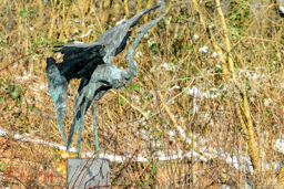 Opvliegende Reiger in brons van Goke Leverland uit 1998. Locatie: Landgoed Meer & Bos